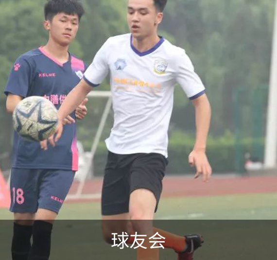 球友会概况